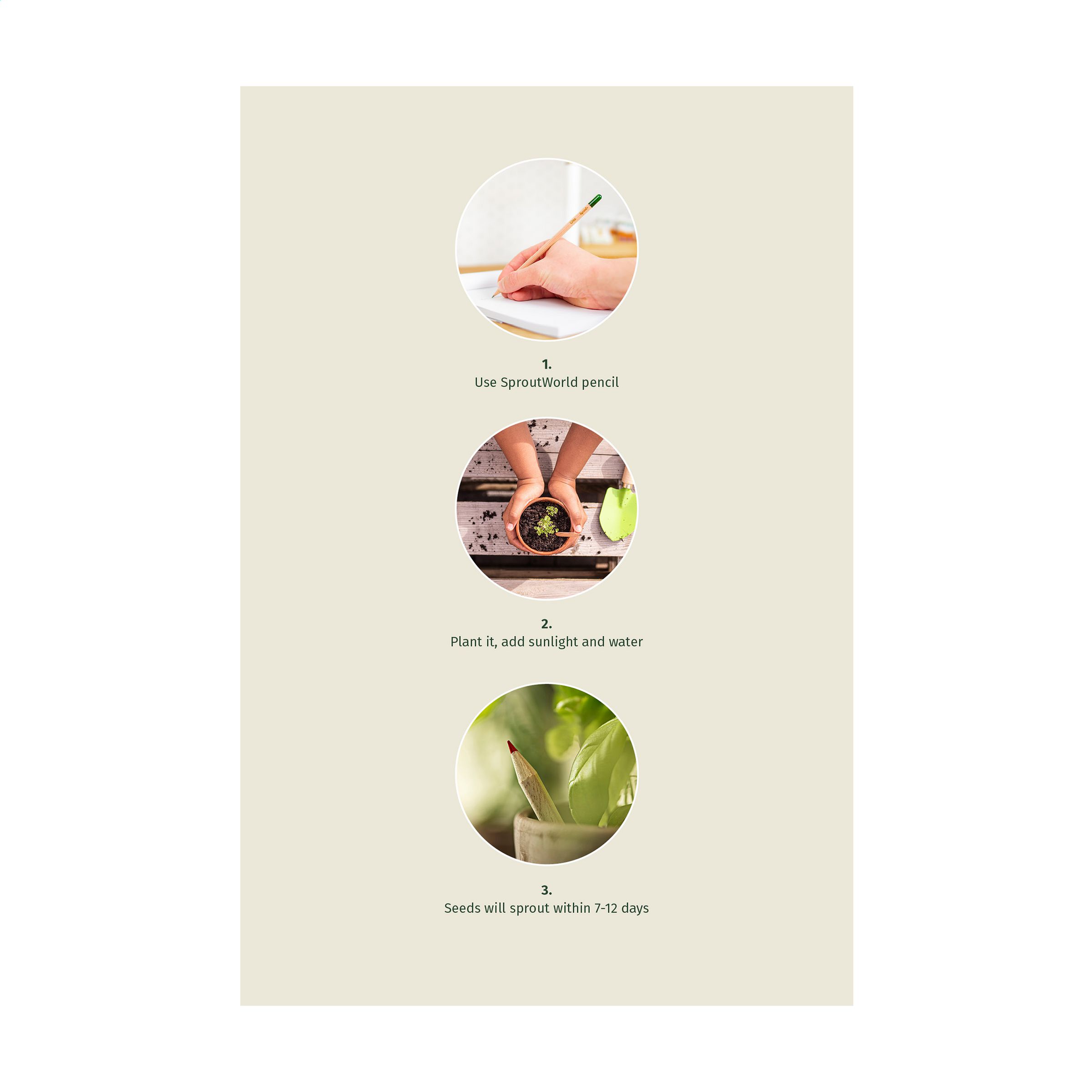 Sproutworld Sharpened Pencil Bleistifte angespitzt, Aubergine