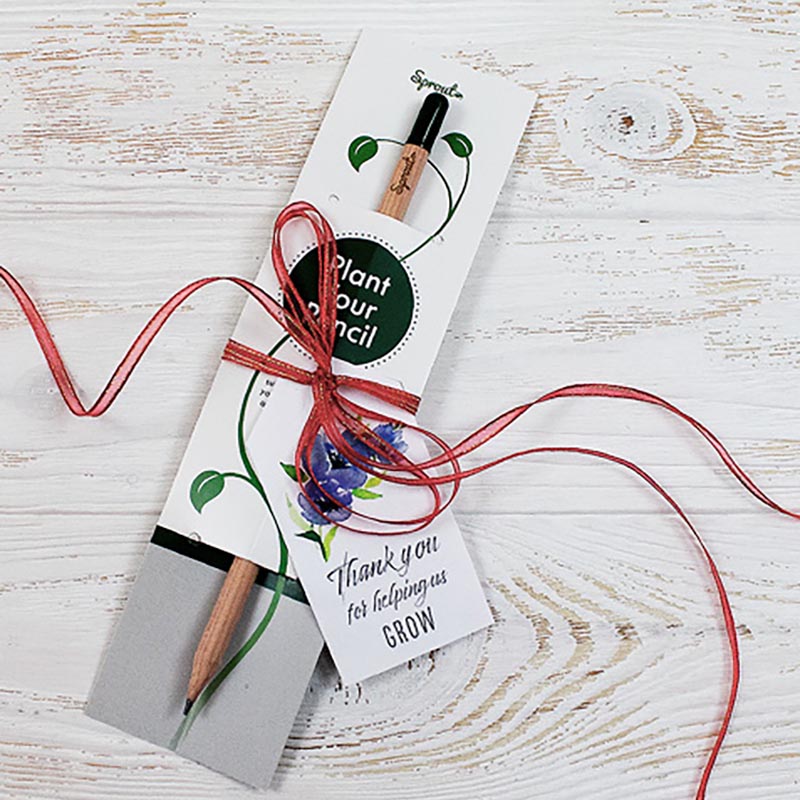 SPROUT - der Samenbleistift