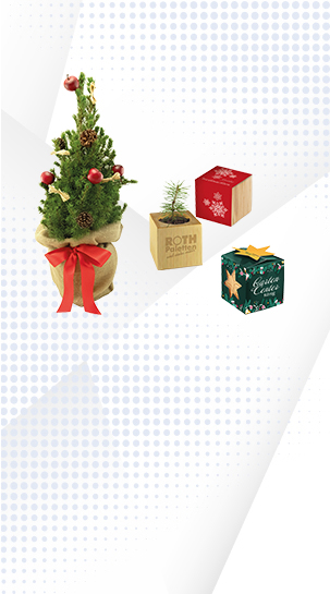 Aktion-Werbepflanzen-Xmas