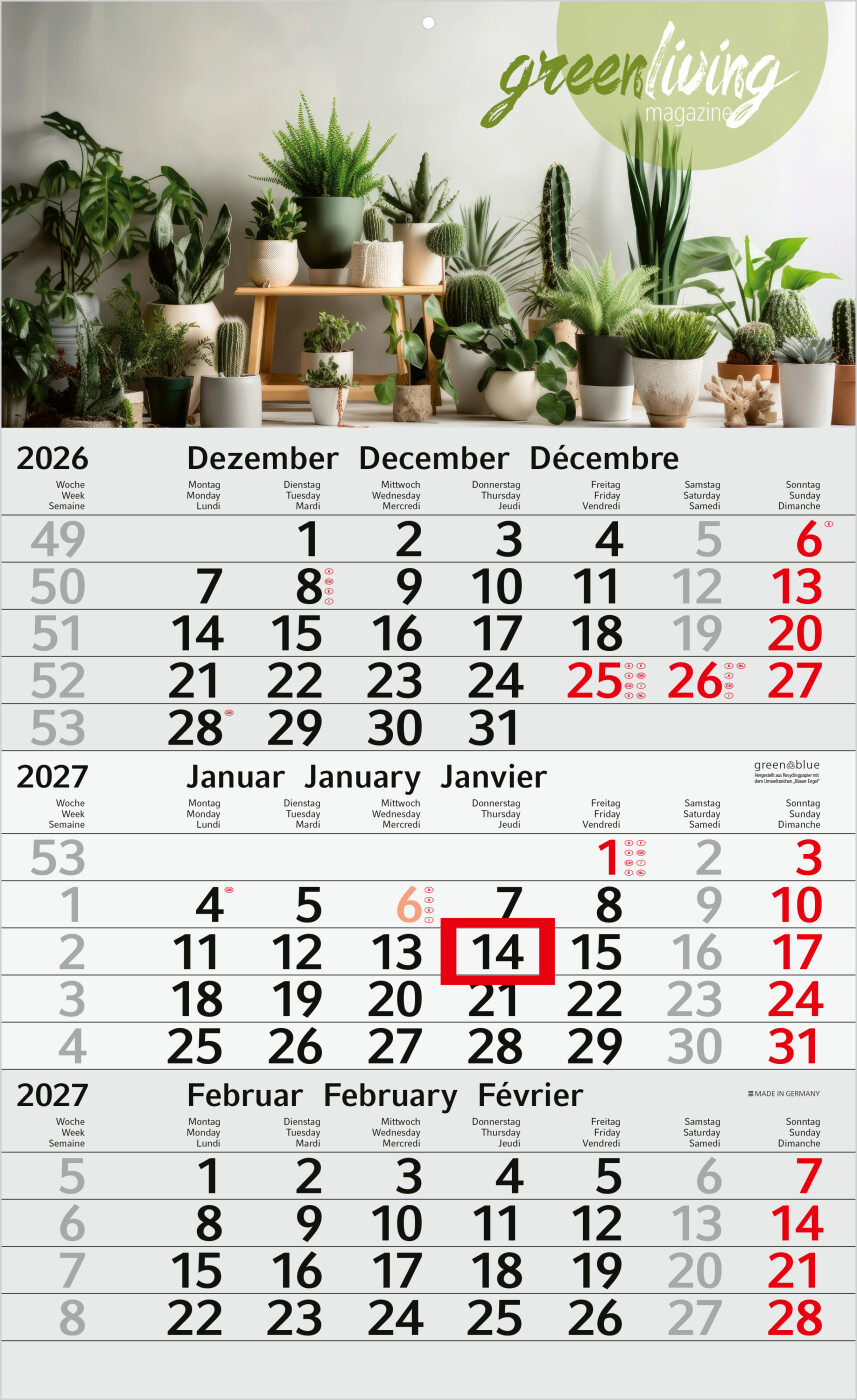 3-Monatskalender Einblatt Budget 3 Recycling-Kalendariumspapier Schrift leicht