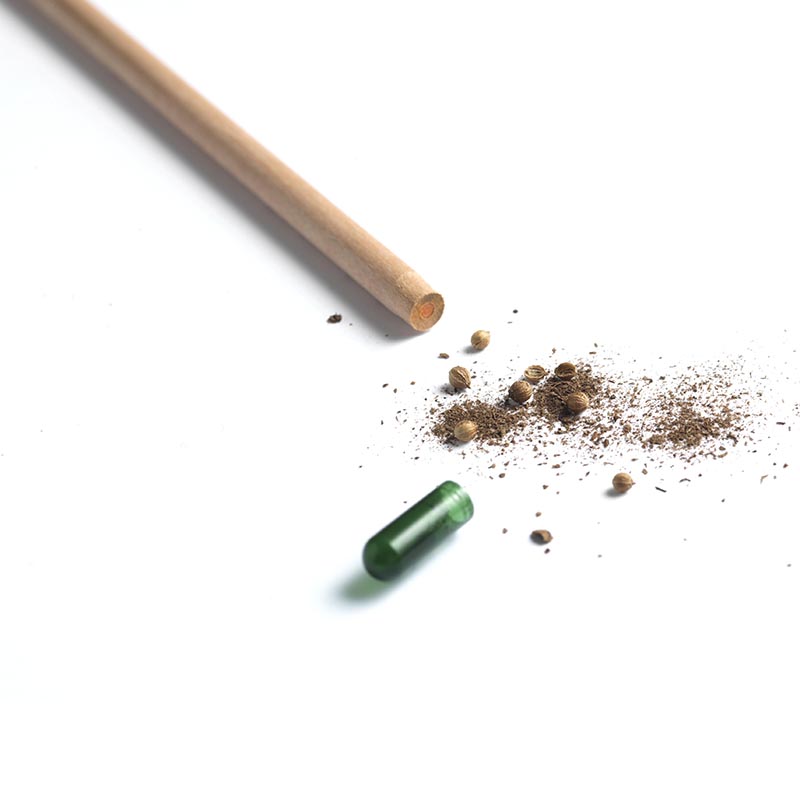 SPROUT - der Samenbleistift