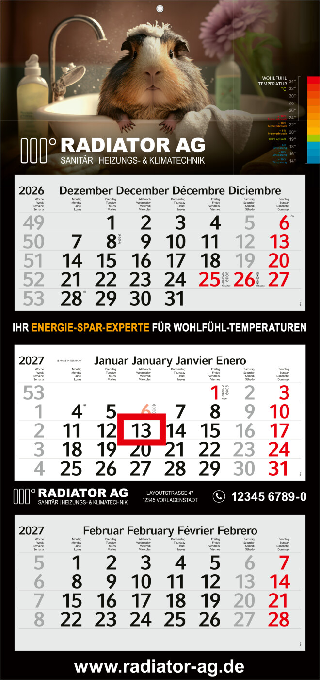 3-Monatskalender Mehrblock Profil 3 EXPRESS Schrift leicht