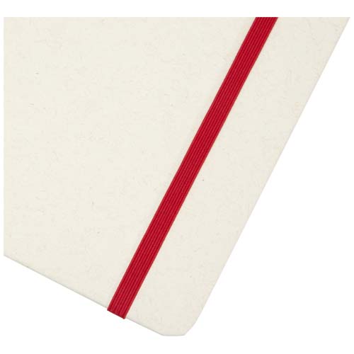 Bass A5 recyceltes Notizbuch, liniert, rot