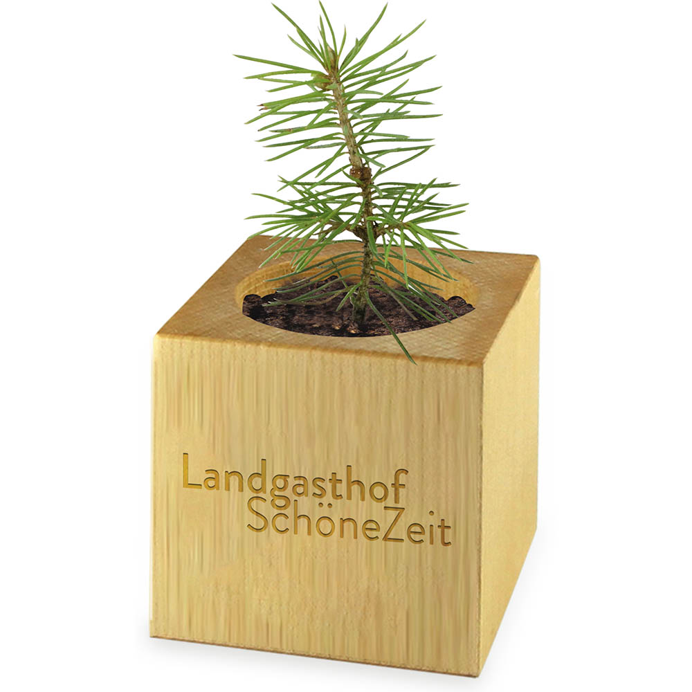 Werbepflanzen EmotionFactory