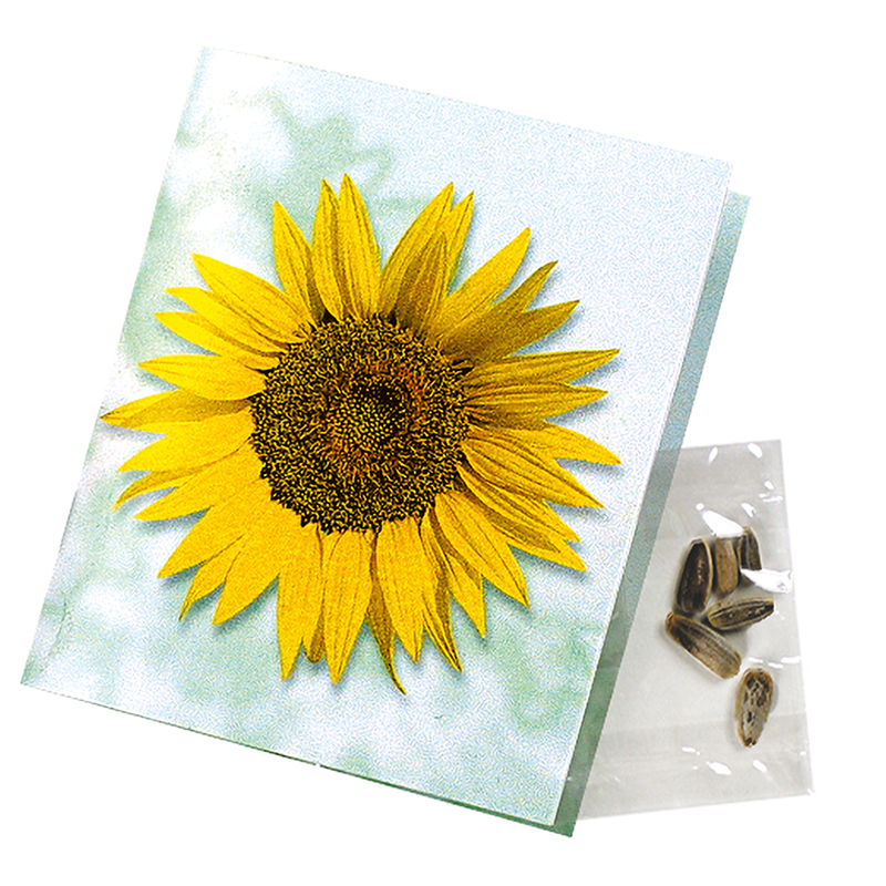 Klappkärtchen Sonne, Zwergsonnenblume, 1-4 c Digitaldruck inklusive