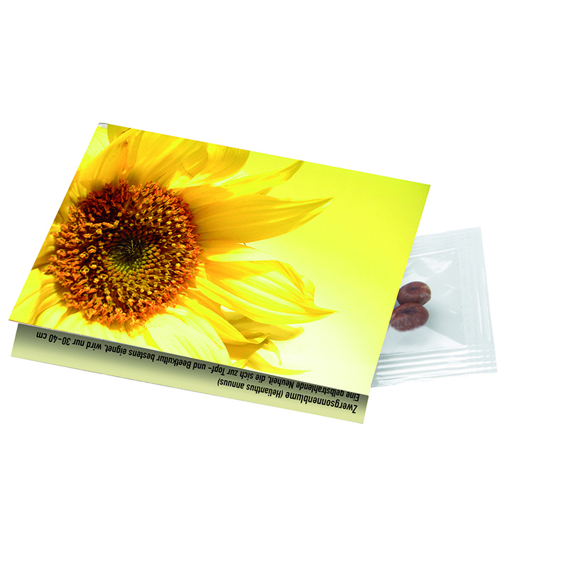 Klappkärtchen Sonne, 90 x 60 mm, Zwergsonnenblume, 1-4 c Digitaldruck inklusive