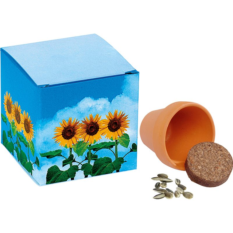 Würfel Sonnenblume, Zwergsonnenblume, 1-4 c Digitaldruck inklusive