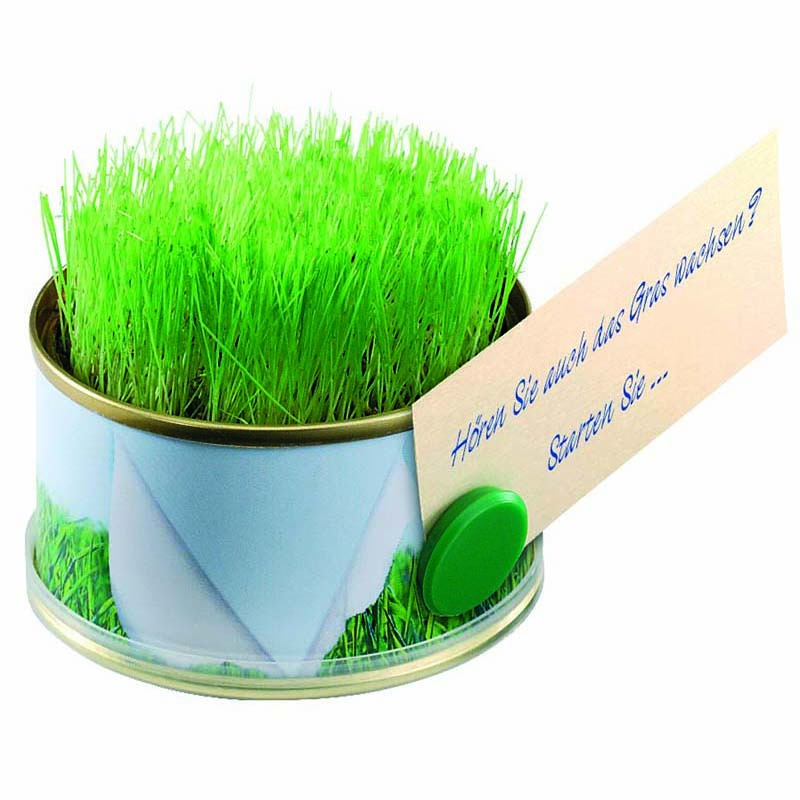 Minigarten Gras mit Magnet, Ø  73 x 38 mm, Zimmerrasen, 1-4 c Digitaldruck inklusive