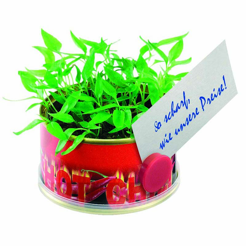 Minigarten Hot mit Magnet, Ø  73 x 38 mm, Chili, 1-4 c Digitaldruck inklusive
