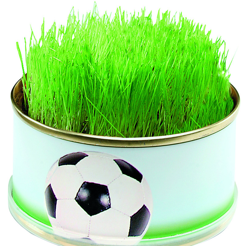 Zimmerarena Mini Garten Fußball, Ø  73 x 38 mm, 1-4 c Digitaldruck inklusive