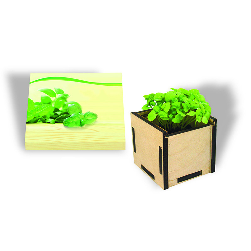 Pflanzsteckbox Green, Basilikum, 1-4 c Digitaldruck inklusive