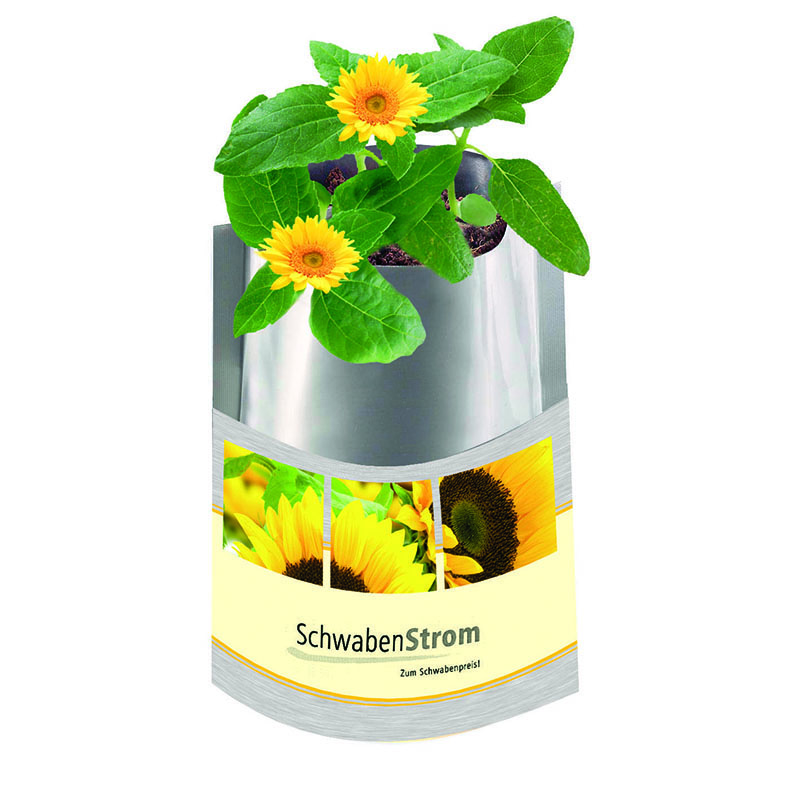 Plant-Bag Sonne, Zwergsonnenblume, 1-4 c Digitaldruck inklusive