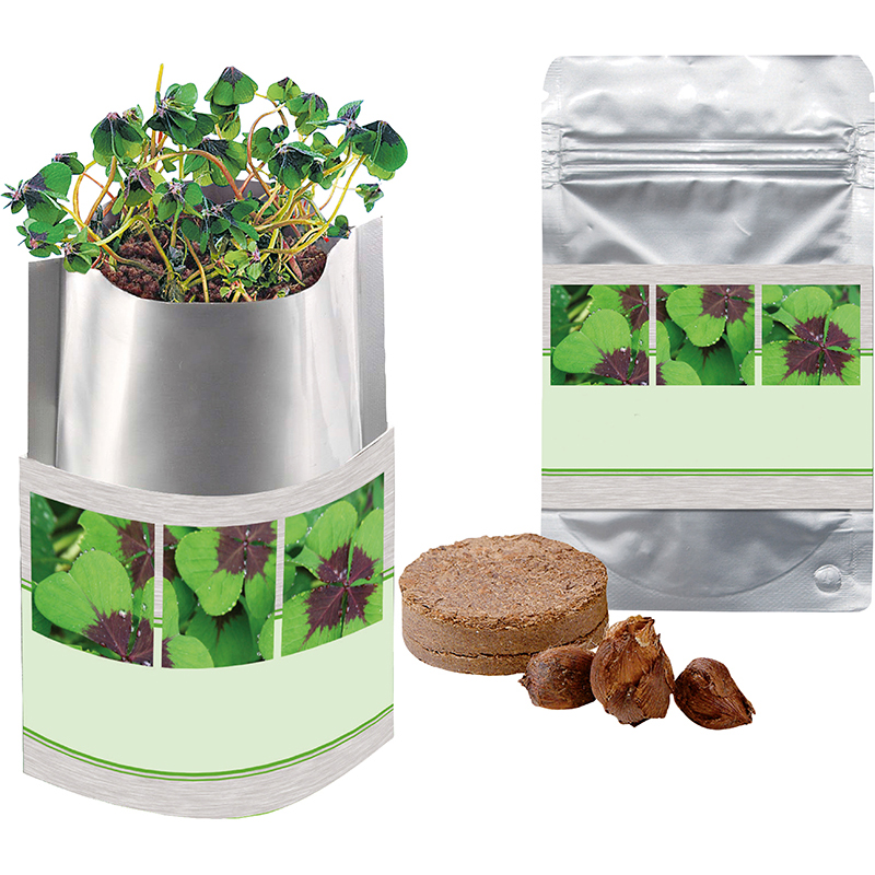 Plant-Bag Viel Glück, Glückskleezwiebelchen, 1-4 c Digitaldruck inklusive 