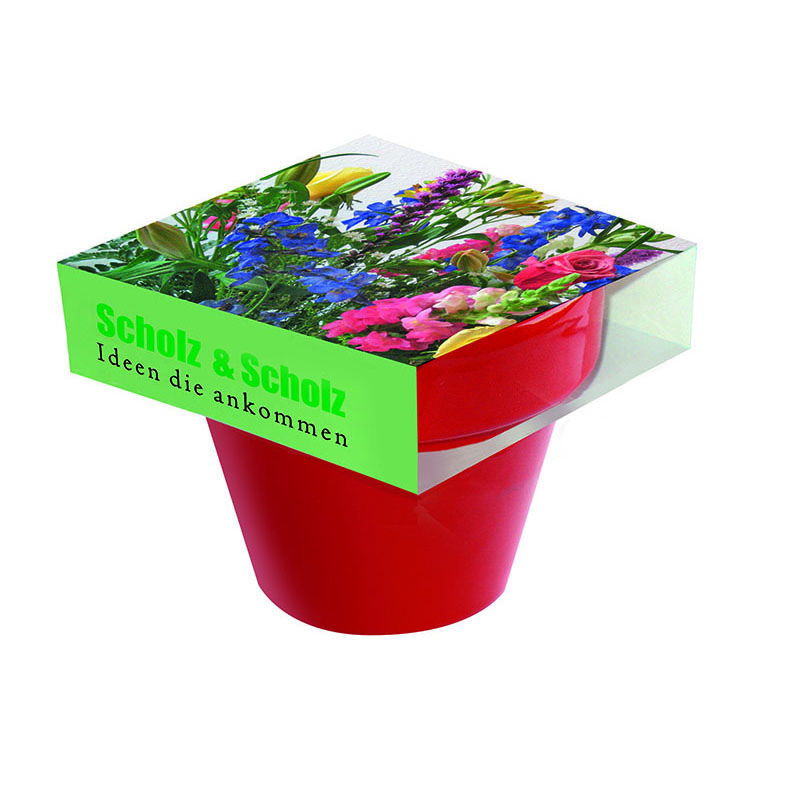 Tontopf Colour Bunte Blumenwelt, bunte Blumenmischung, 1-4 c Digitaldruck inklusive