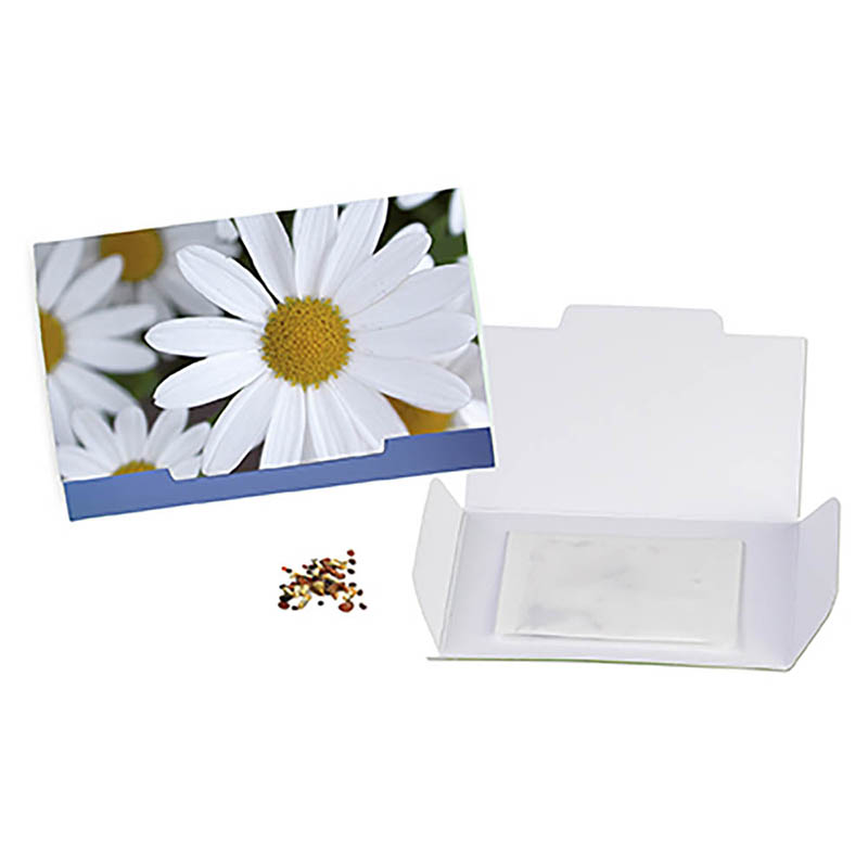 Flower-Card mit Samen - Margerite