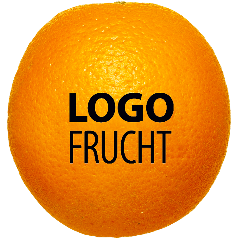 Logo-Orange Druck