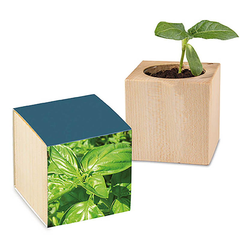 Pflanz-Holz mit Samen - Basilikum, 2 Seiten gelasert