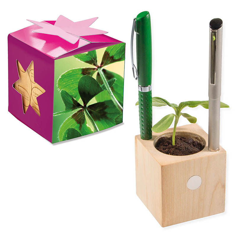 Pflanz-Holz Büro Star-Box mit Samen - Glücksklee-Zwiebel, 1 Seite gelasert (* Je nach Verfügbarkeit der Glücksklee-Zwiebeln)