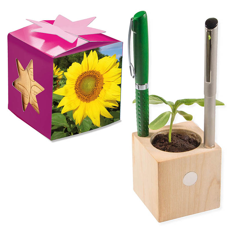Pflanz-Holz Büro Star-Box mit Samen - Sonnenblume, 2 Seiten gelasert