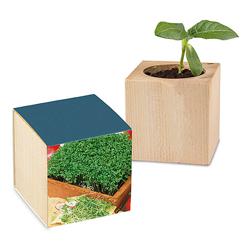 Pflanz-Holz mit Samen - Gartenkresse, 1 Seite gelasert