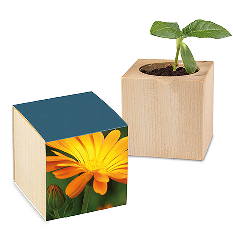 Pflanz-Holz mit Samen - Ringelblume, 2 Seiten gelasert