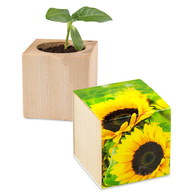 Pflanz-Holz - Standardmotiv - Sonnenblume - ohne Lasergravur