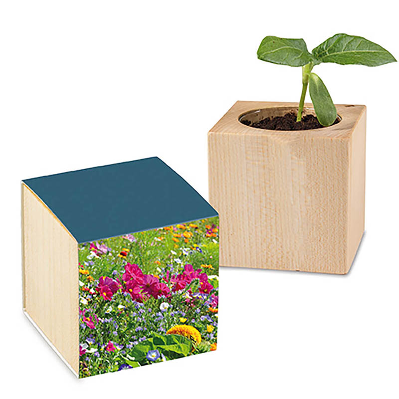Pflanz-Holz mit Samen - Sommerblumenmischung, 2 Seiten gelasert