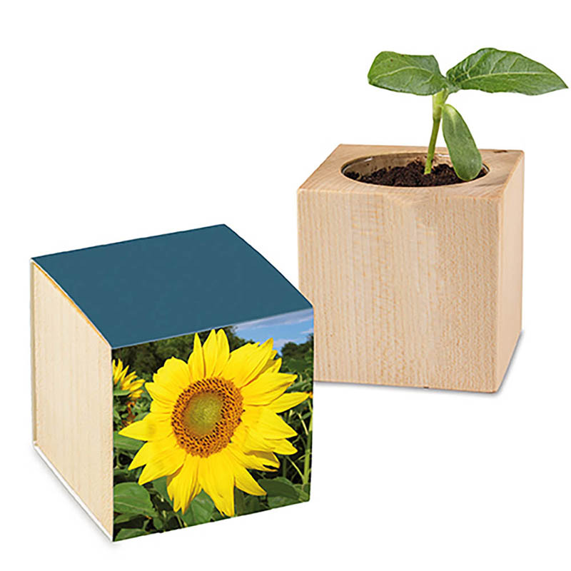 Pflanz-Holz mit Samen - Sonnenblume, 2 Seiten gelasert