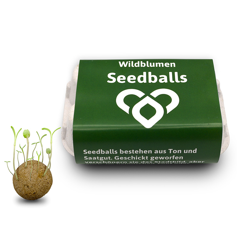 6er Seedbombs in Werbe-Eierschachtel