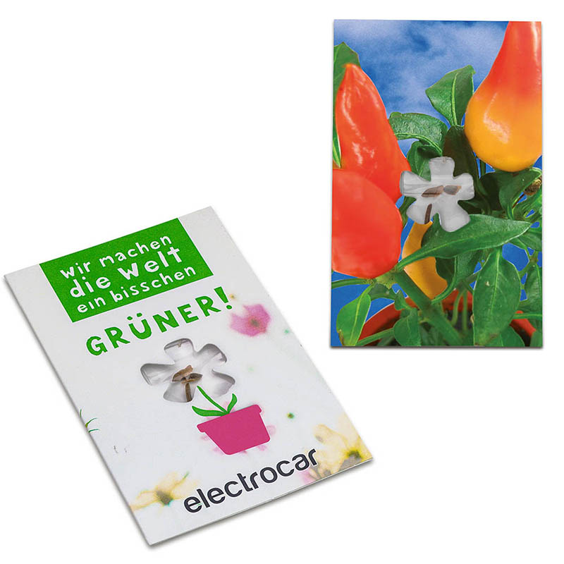 Samen-Karte-Mini Blume - Gewürzpaprika